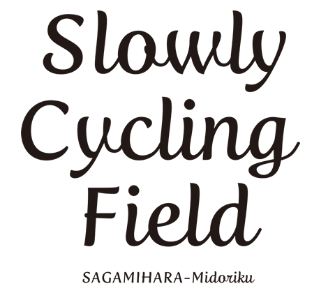 Slowly Cycling Field