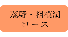 藤野・相模湖コース