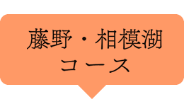 藤野・相模湖コース