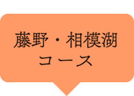 藤野・相模湖コース