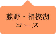 藤野・相模湖コース