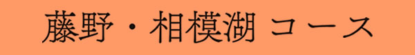 藤野・相模湖コース
